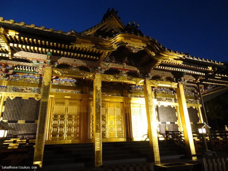 上野東照宮｜徳川家康公を祀る黄金の東照宮（夜間ライトアップも