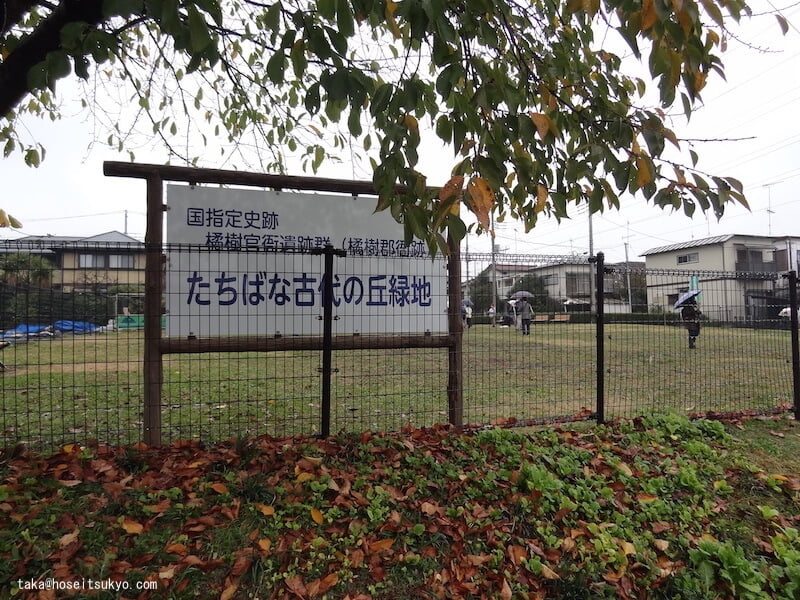 たちばな古代の丘緑地