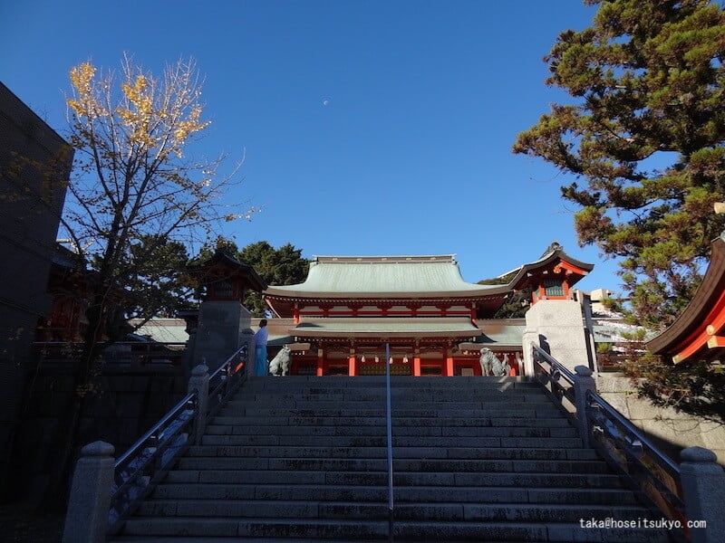 五社神社・諏訪神社｜境内の様子（手水舎付近から社殿に向かって）