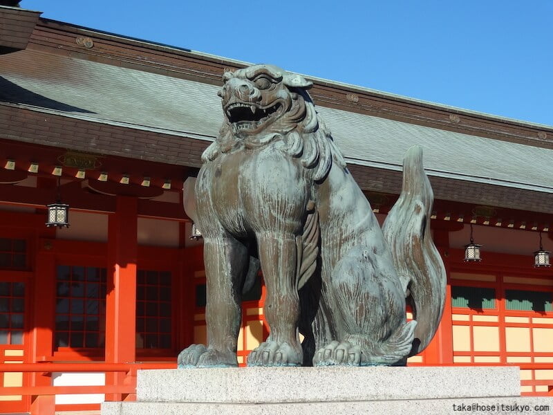 五社神社・諏訪神社｜社殿の狛犬（阿形）