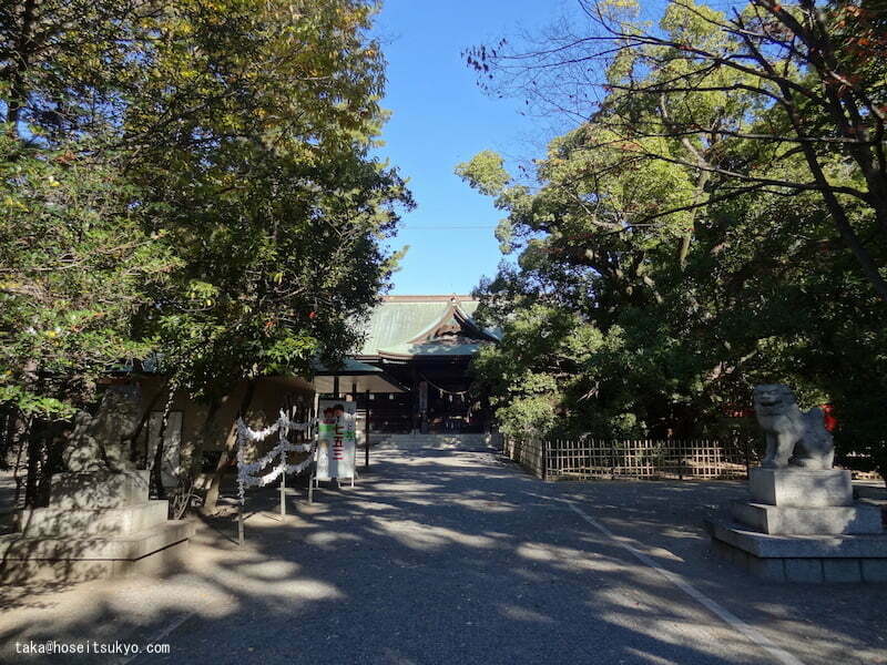 浜松八幡宮・境内の様子