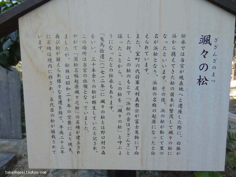 浜松八幡宮・颯々之松（ざざんざのまつ）案内看板