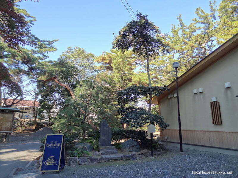 浜松八幡宮・颯々之松（ざざんざのまつ）概観