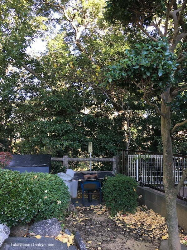 『本多肥後守忠真の碑』旗立ての松跡（遠景）