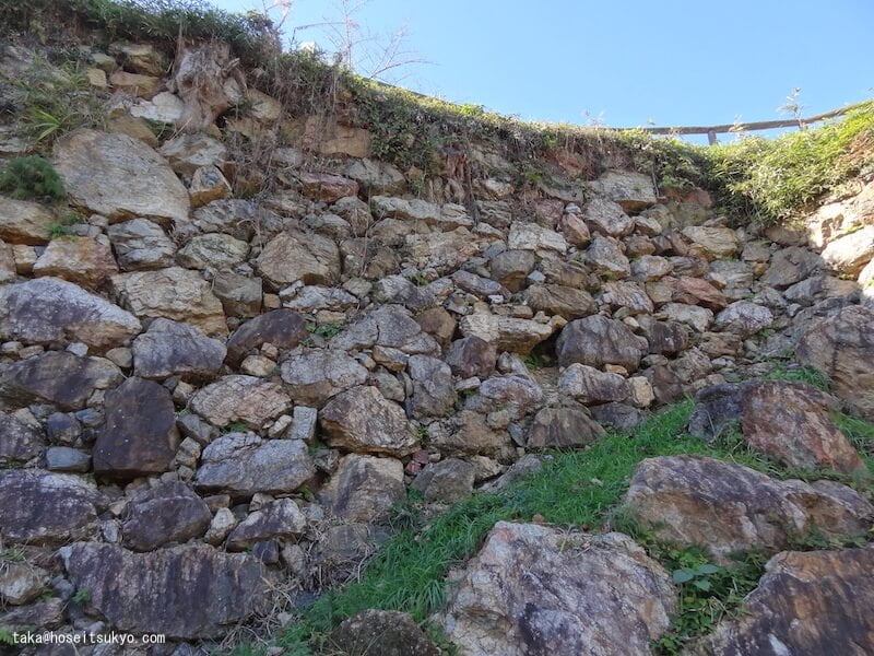 浜松城本丸跡・400年前の築城時から現存する石垣（接近）