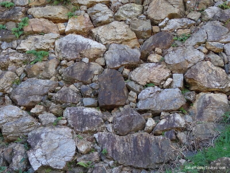 浜松城本丸跡・400年前の築城時から現存する石垣（野面積み）