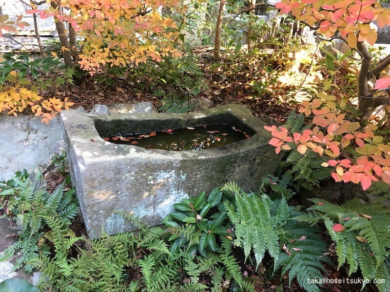 西来院・月窟廟の水盤