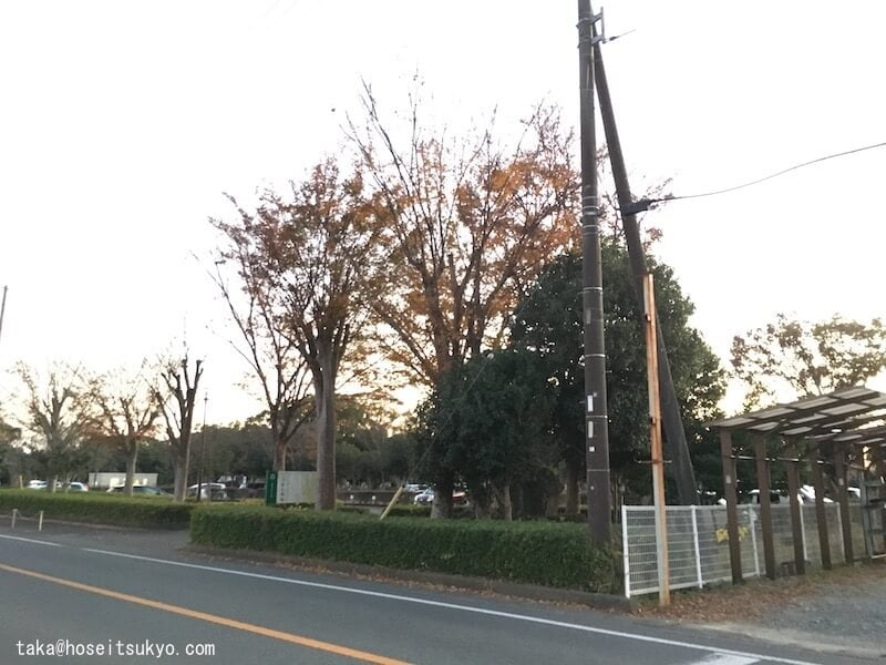 三方ヶ原古戦場跡（街道から）