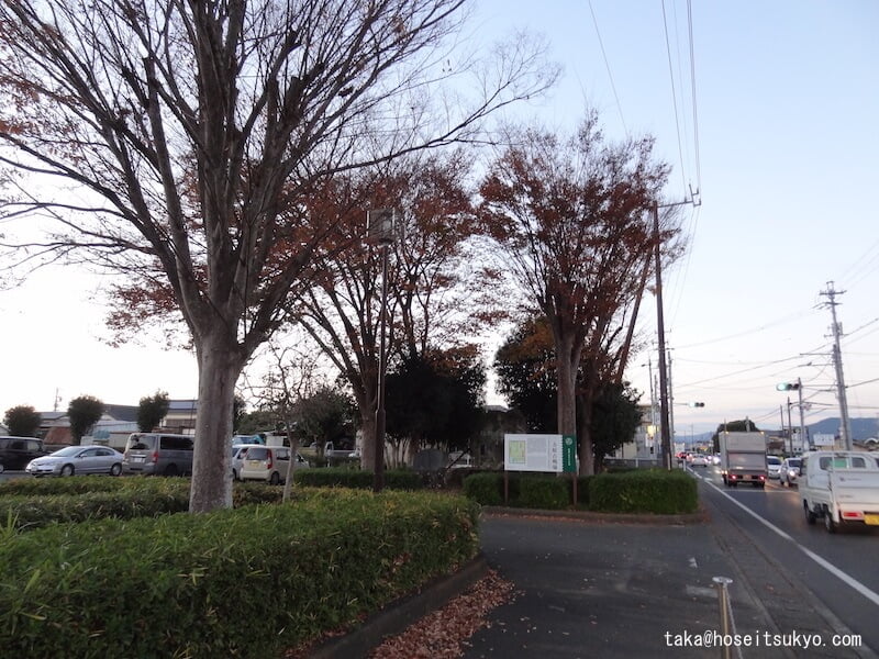 三方ヶ原古戦場跡（遠景）