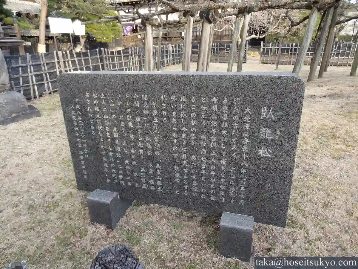 大光院・臥龍松の石碑