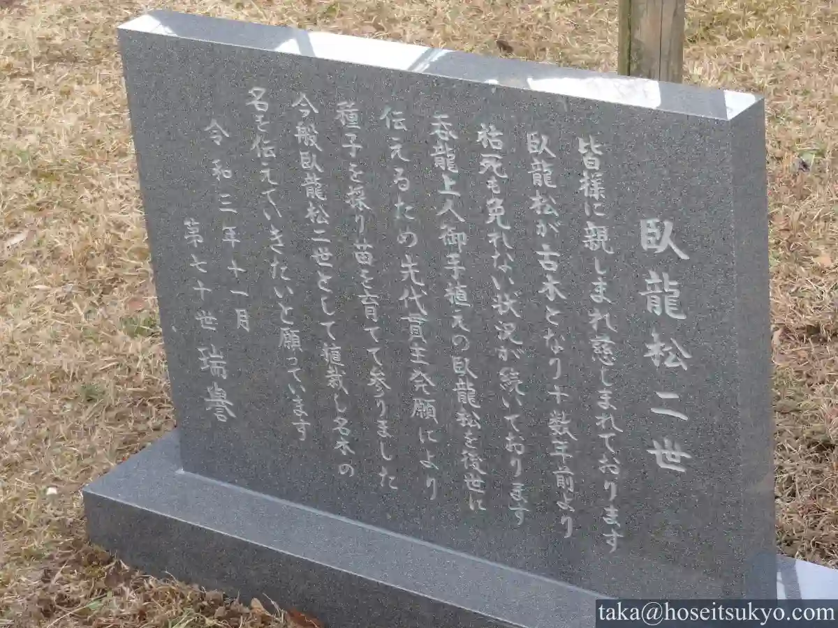 大光院・臥龍松二世の石碑